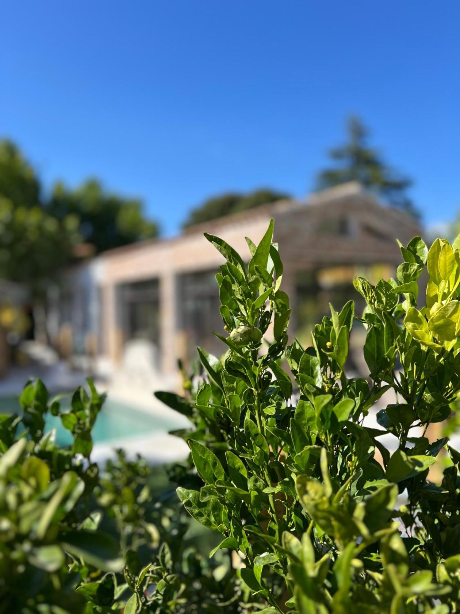 L'Intemporel Saint-Cyr-sur-Mer Eksteriør billede